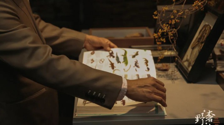 奢野之间·探寻“间度”智慧|欧大师门窗「奢野间度」设计主题沙龙圆满收官